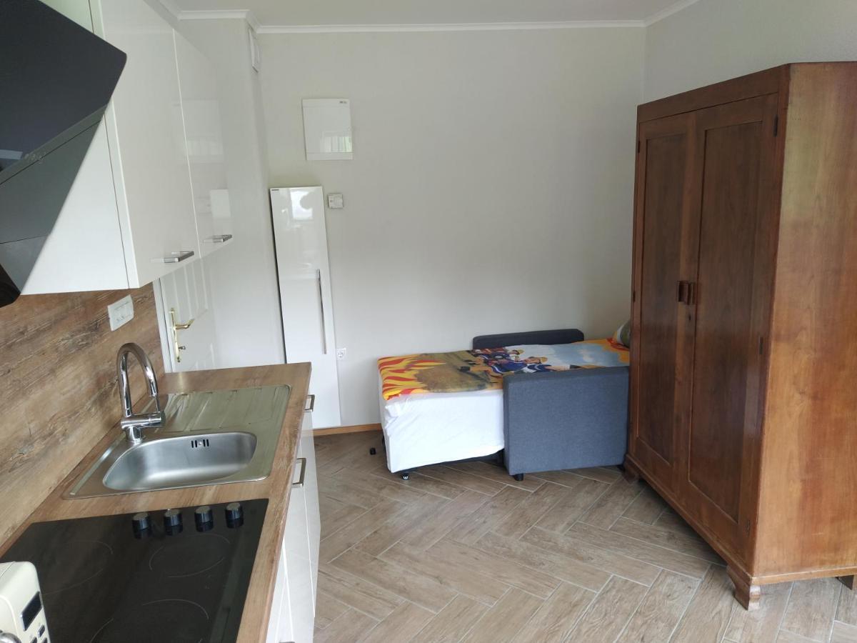 Apartmaji Maln 돌레니스케토플리체 외부 사진