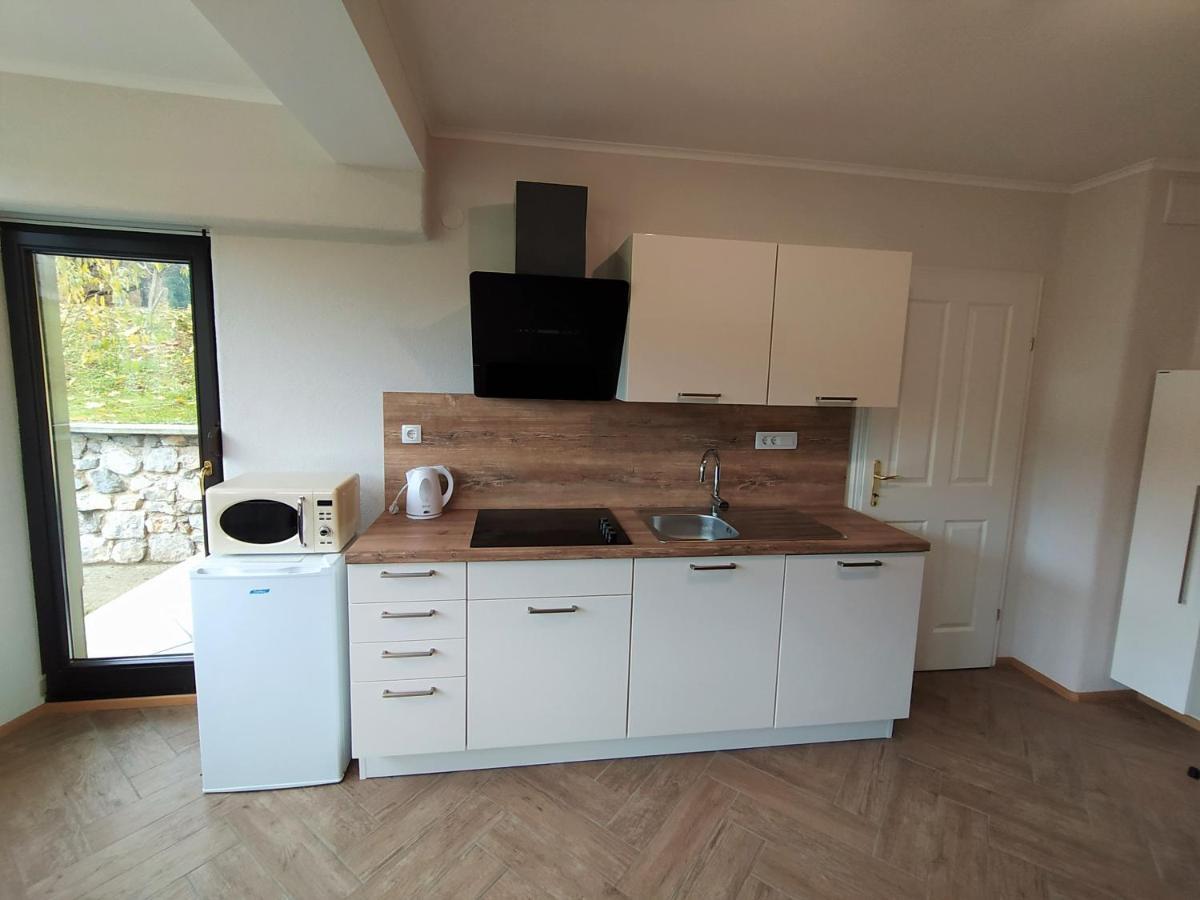 Apartmaji Maln 돌레니스케토플리체 외부 사진
